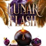 Midlife in Aura Cove Book 3 Kindle Edition-0